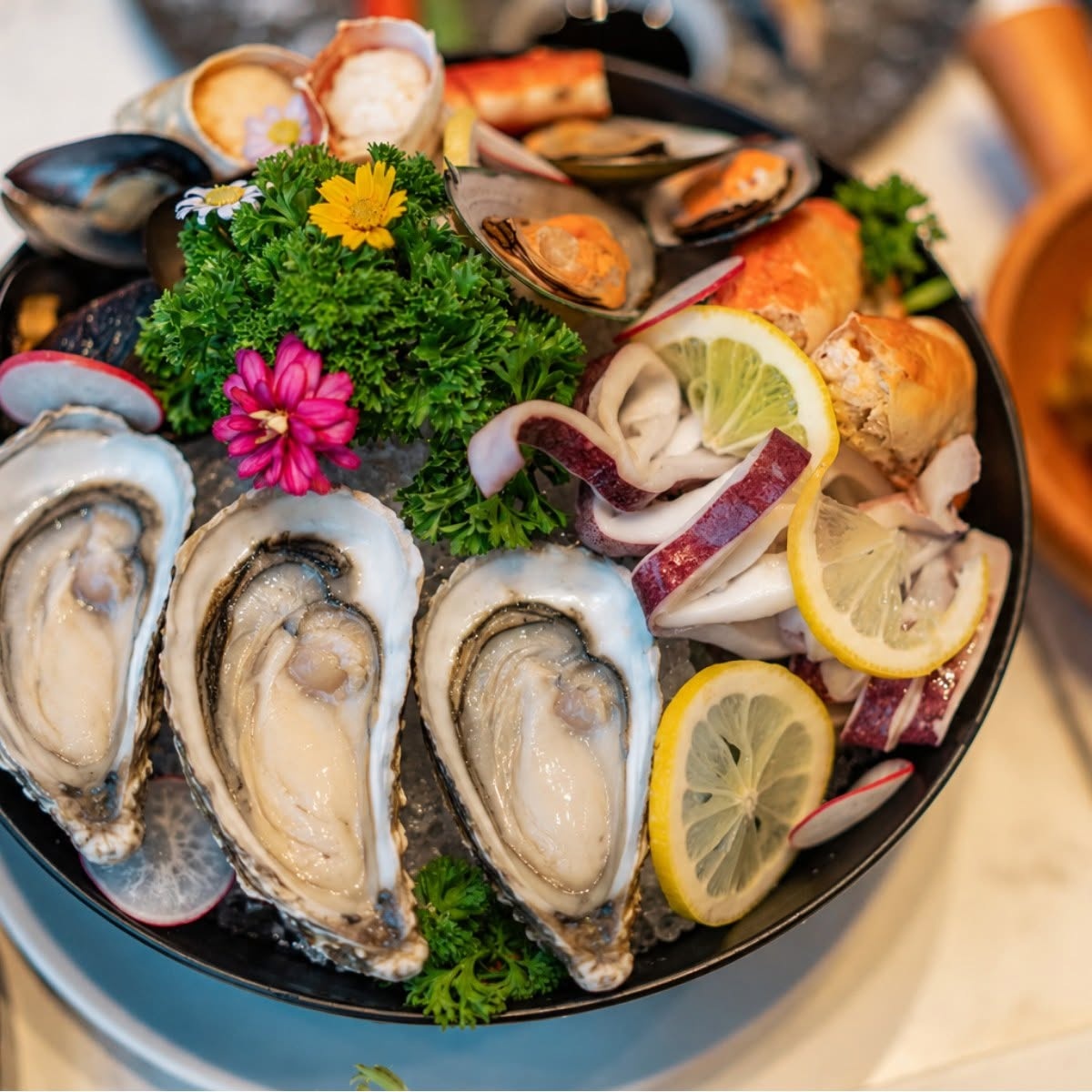 Fresh Oysters