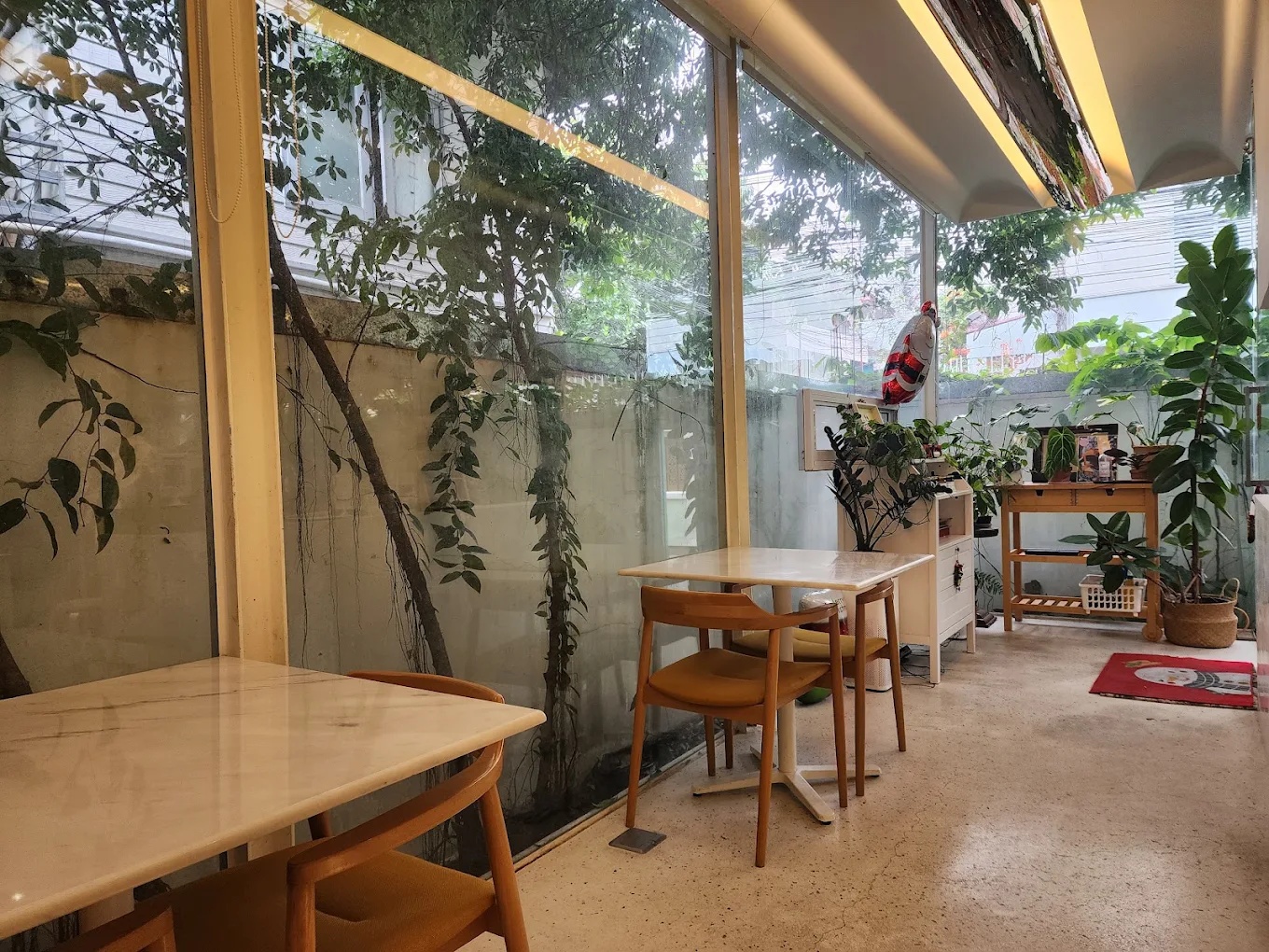 Bite Me Softly — รูปภาพ (ภายในร้าน)