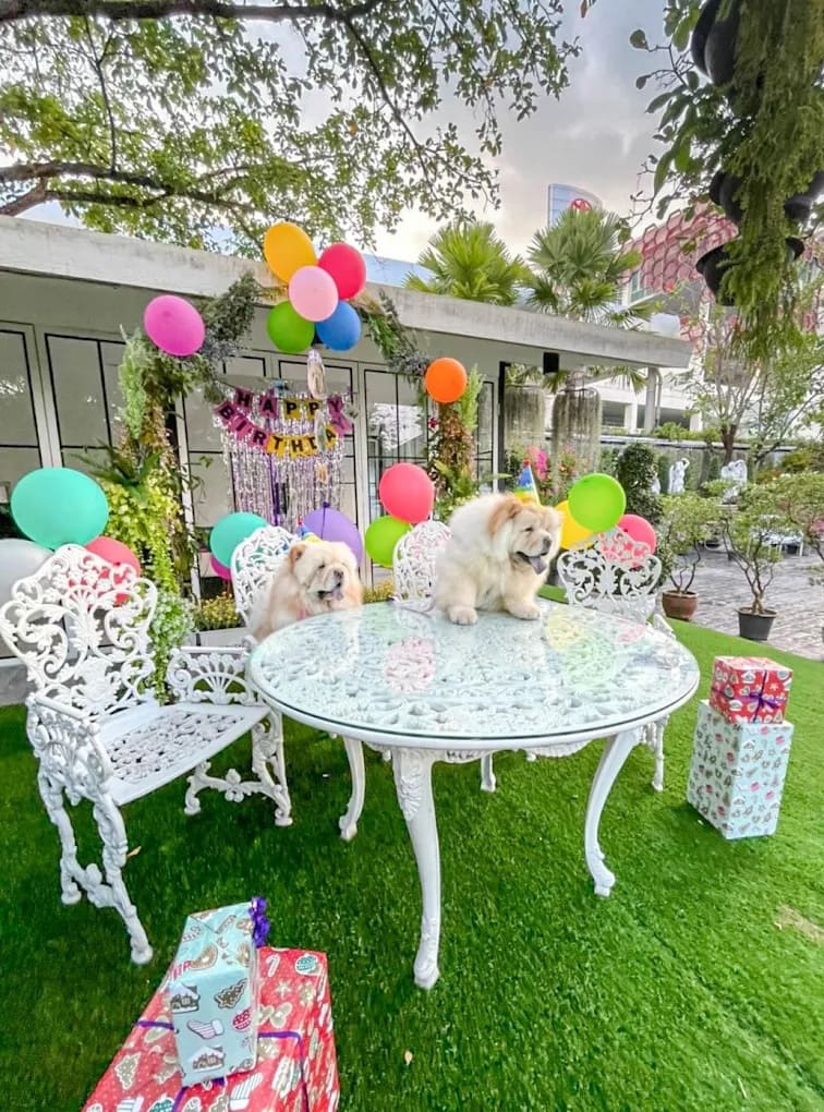 De Chote — รูปภาพ (ภายในร้าน)