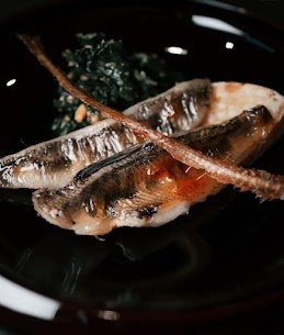 Deep-sea fish, Mehikari
